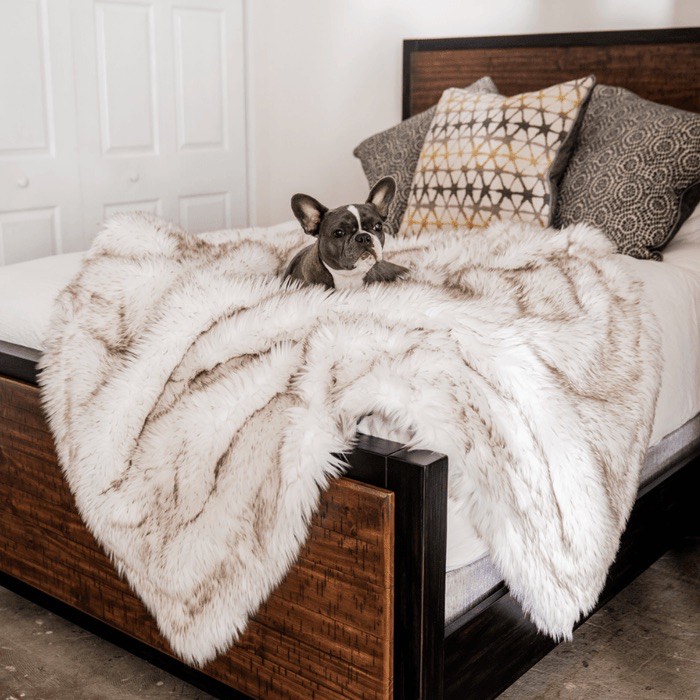 Paw.com PupProtector Throw